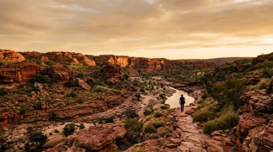 A lone traveler walking through an ancient ochre-red rock landscape at golden hour, symbolizing deep time and continuous Indigenous culture