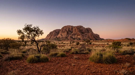 Vast ochre desert landscape at golden hour with a weathered monolithic rock formation, symbolizing an ancient landscape that functions as a living legal and ancestral record