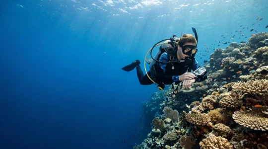 A certified scuba diver hovering in neutral buoyancy beside a vibrant coral reef wall in clear blue water, checking dive equipment.
