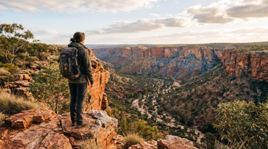 A lone hiker pausing at the edge of a vast red-earth Australian gorge at golden hour, symbolizing careful exploration of national parks