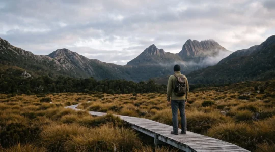 A lone hiker on a boardwalk trail overlooking Tasmania's vast, moody wilderness at dawn